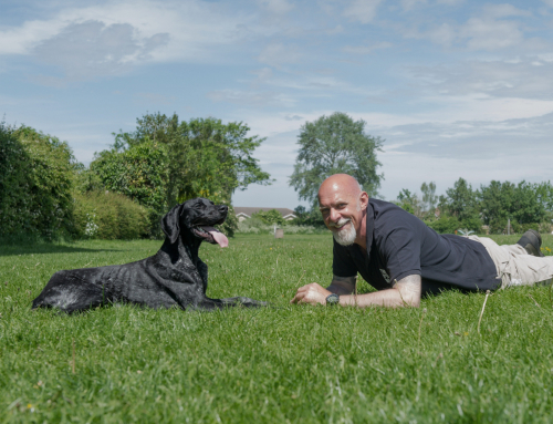 Stafford’s Best-Rated Dog Trainer: 9 Years in the ThreeBestRated® Top 3