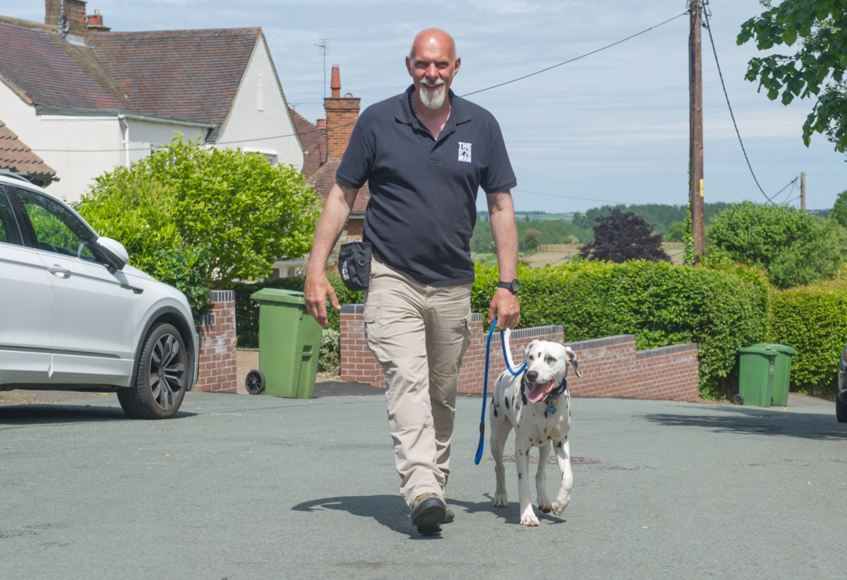 How do I stop my dog pulling? The Dog Man